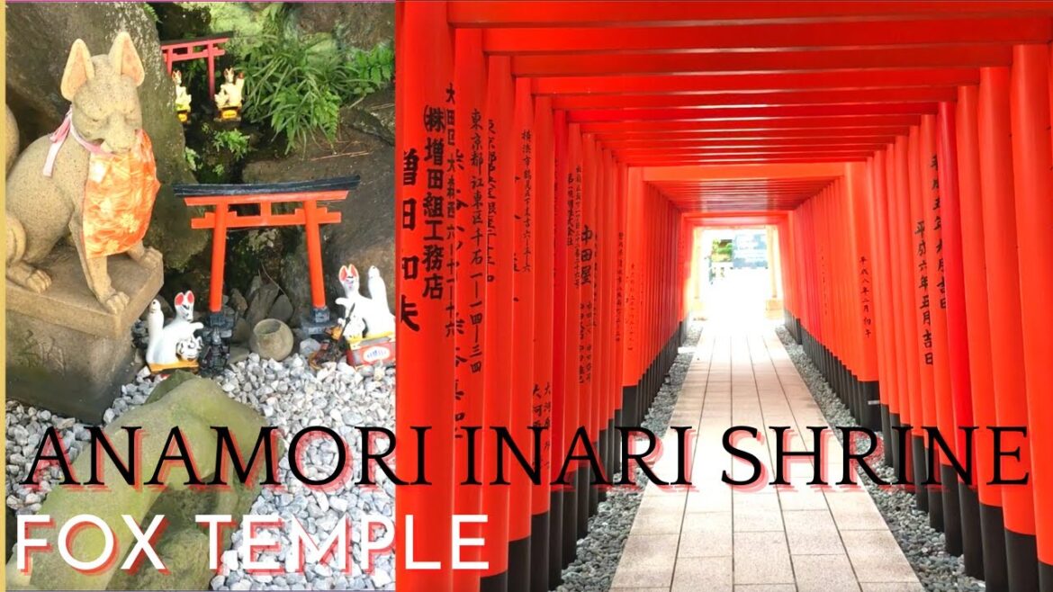anamori inari shrine|shinto shrine|fox temple|haneda airport|tokyo attractions|travel vlogs|Japan anamori inari shrine|shinto shrine|fox temple|haneda airport|tokyo attractions|travel vlogs|Japan
