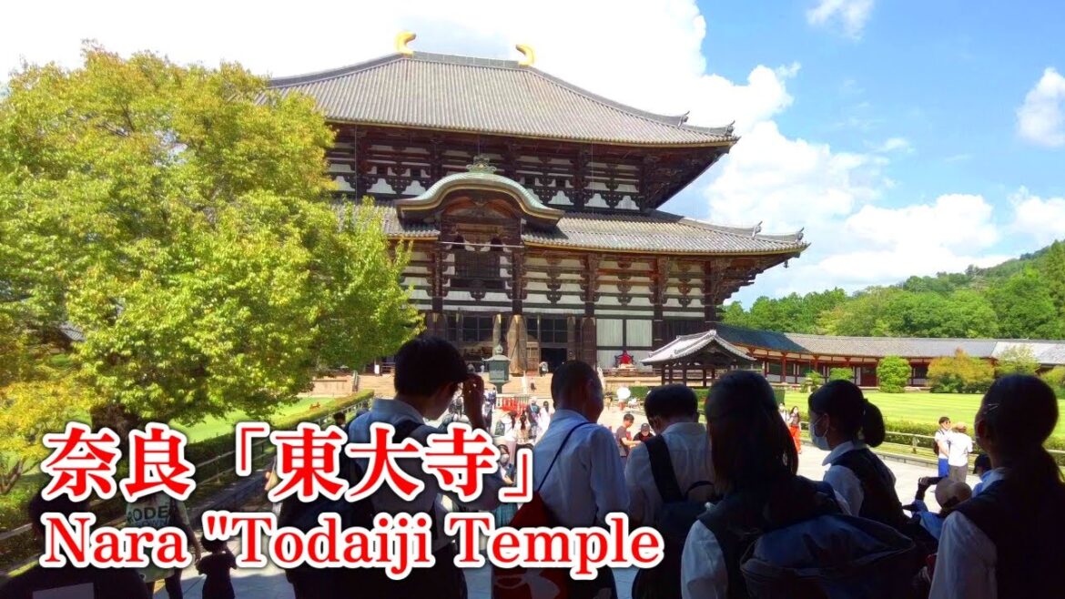 Walking Japan | Nara's Todaiji Temple is still amazing.