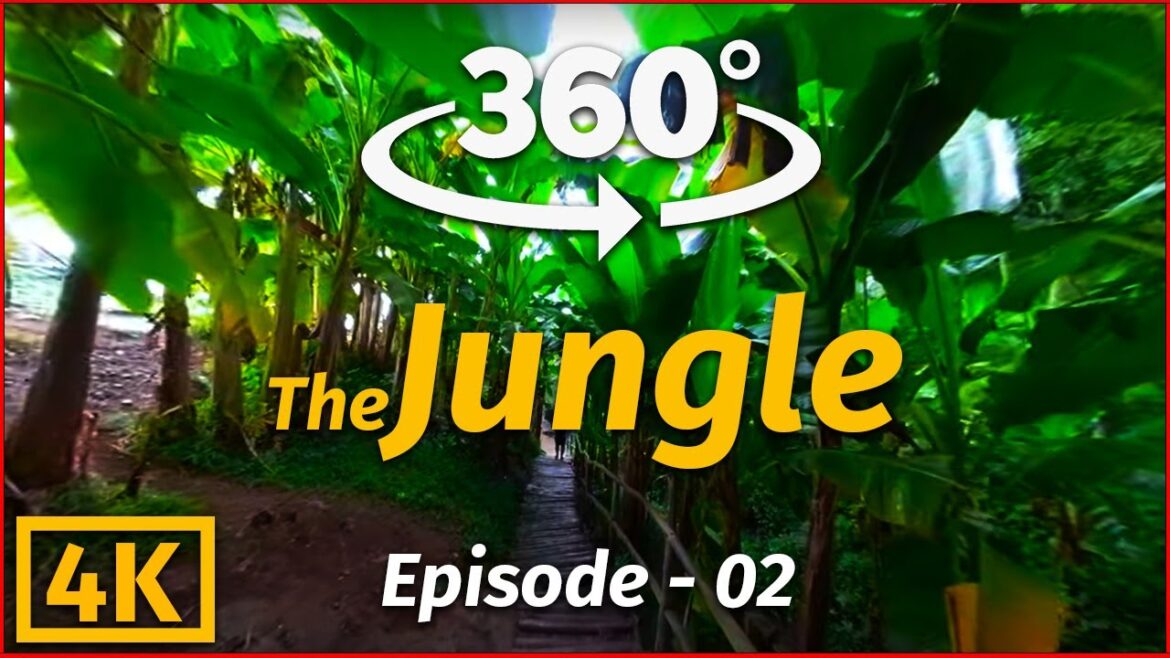 The Jungle – Episode – 02 | VR 360°, Real 3D Sound The Jungle - Episode - 02 | VR 360°, Real 3D Sound