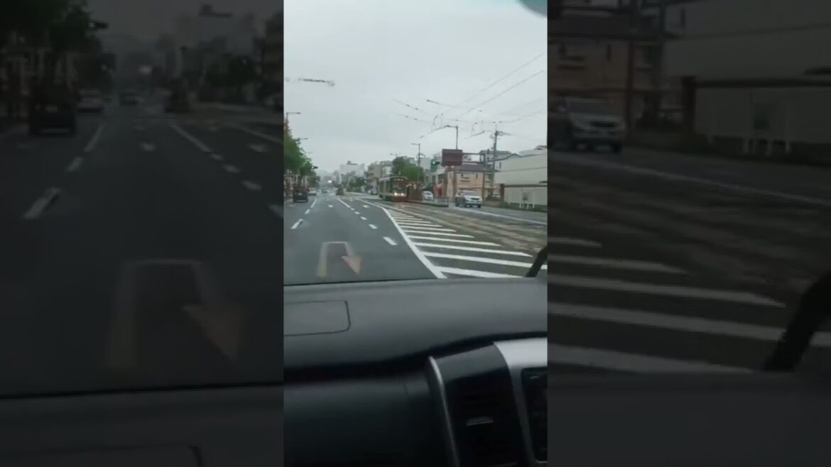 kochi castle 🏯💜