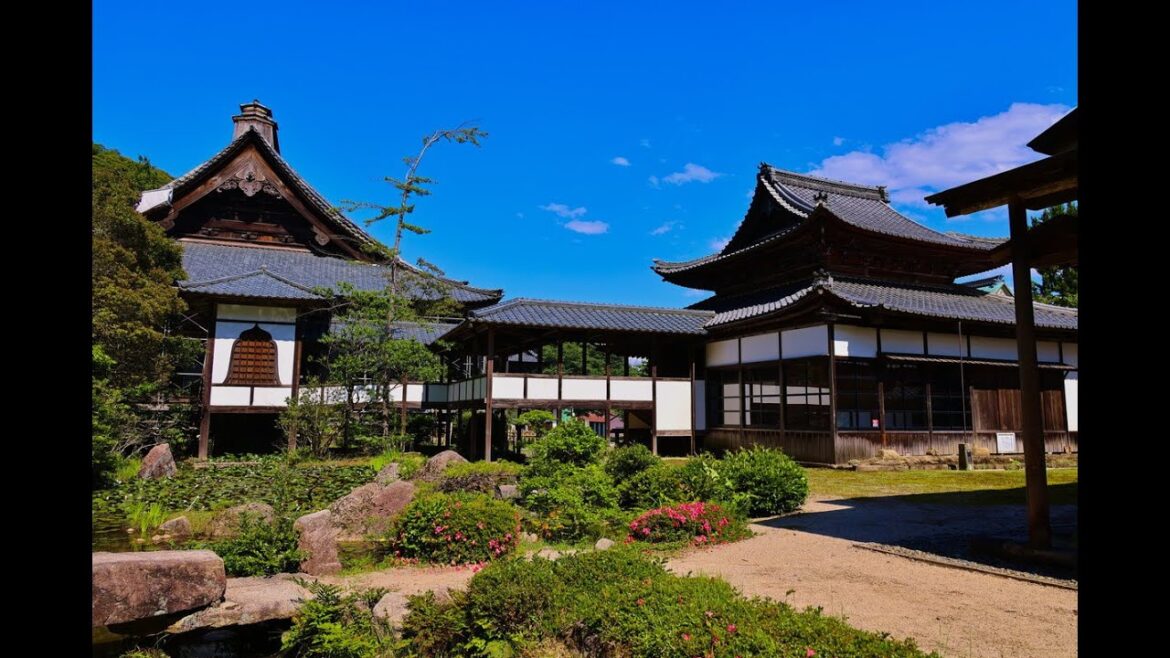 8K HDR 福井 西福寺と庭園(重文/名勝) Fukui,Saifukuji and Garden(Cultural Property/Scenic Beauty)