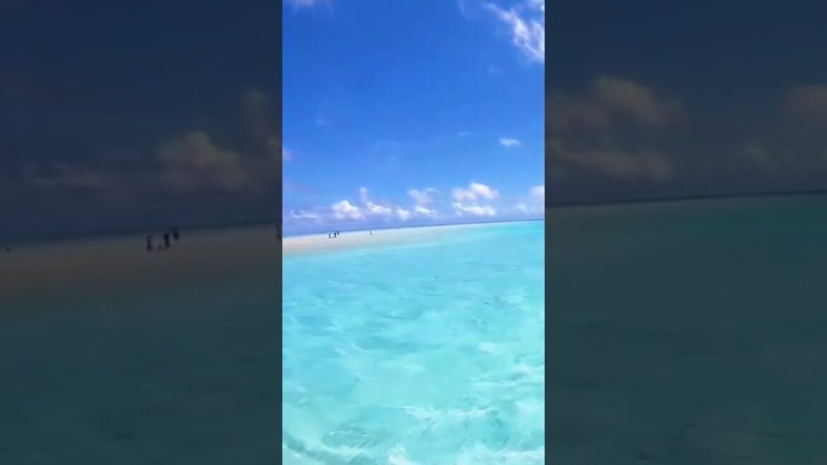 Crystal Clear Blue Water in OKINAWA #shorts