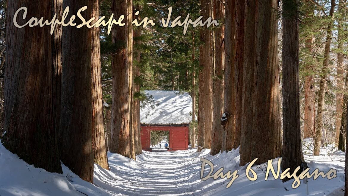 เที่ยวญี่ปุ่นด้วยตัวเอง วันที่ 6 เดินทางสู่ Nagano เที่ยวป่าสน Takagushi Shrine
