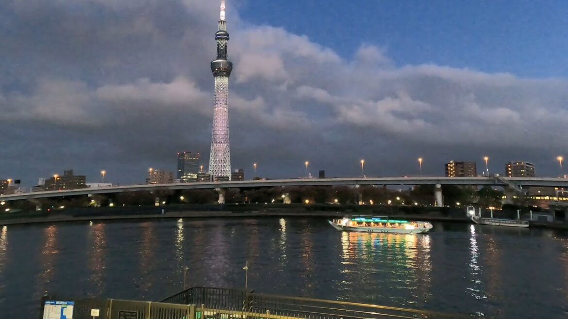 Asakusa's Beauty at Night