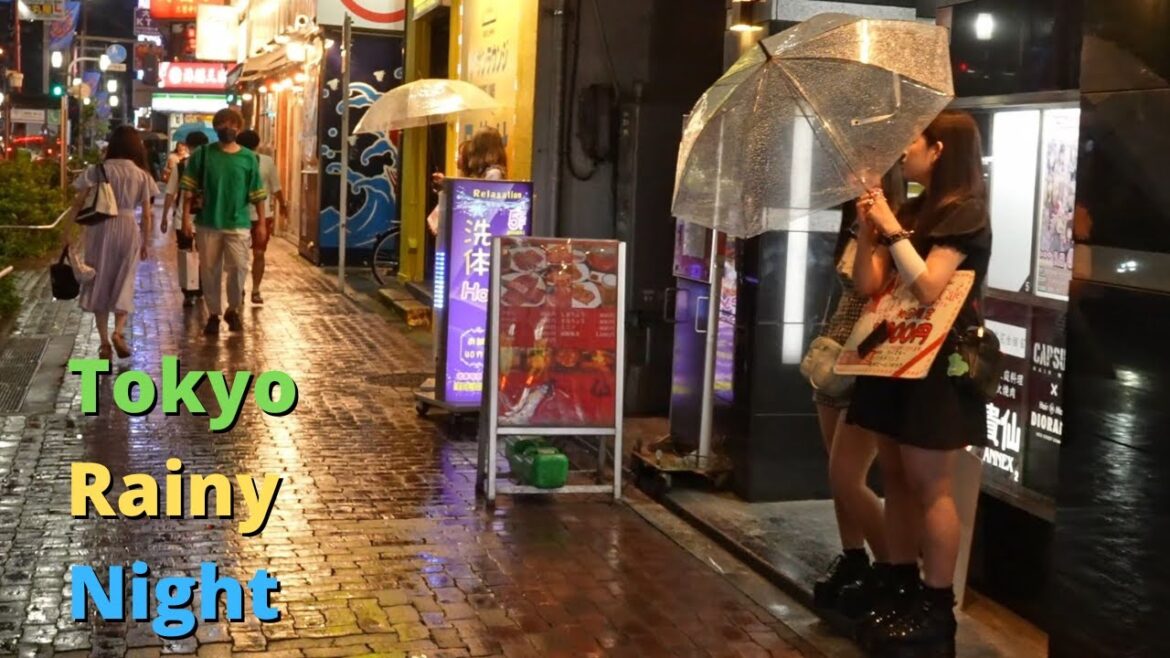 Tokyo's pleasure-seekers Paradise More dramatic on a Rainy Night