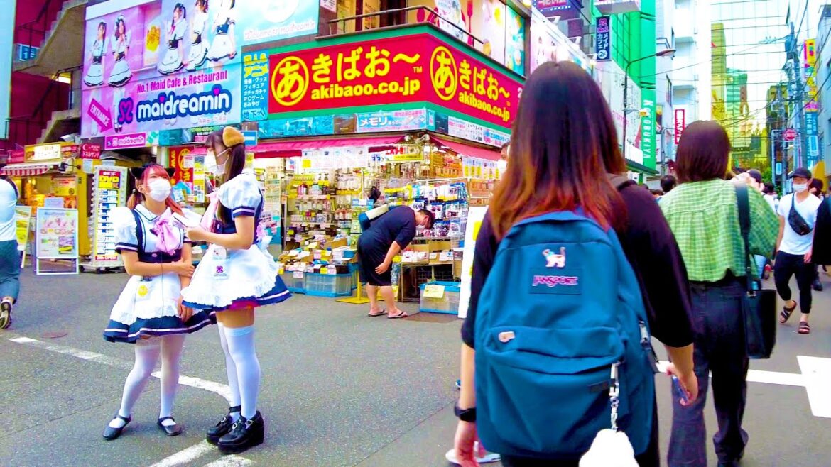 Akihabara in Tokyo. Maid cafe town in the evening ♪💖🐶4K ASMR non-stop 1 hour 02 minutes Akihabara in Tokyo. Maid cafe town in the evening ♪💖🐶4K ASMR non-stop 1 hour 02 minutes