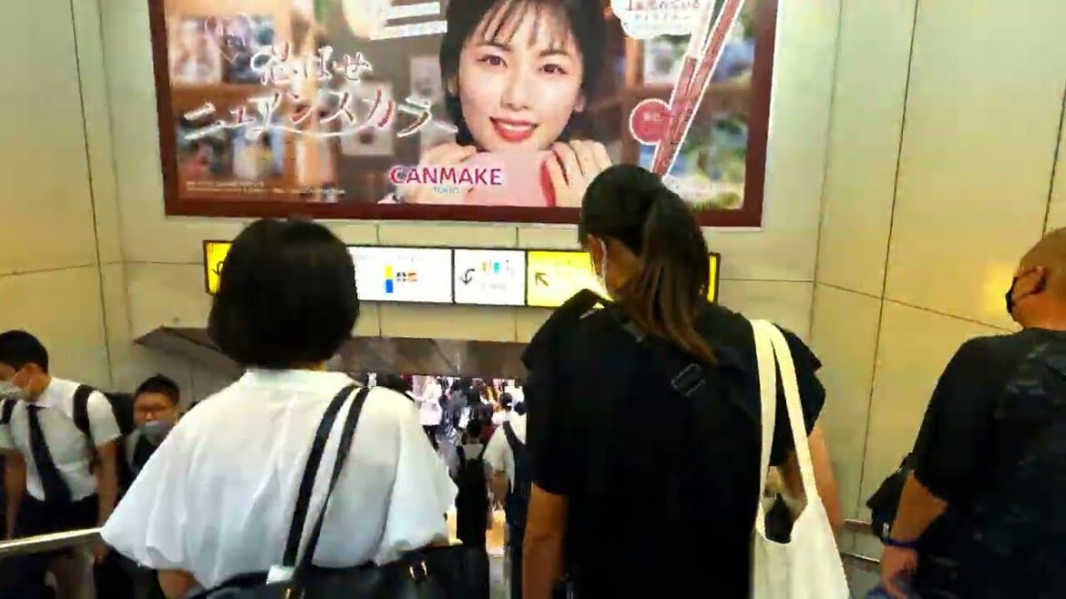 【4K高画質】休日の渋谷駅構内を散歩!若者で賑わう!Walk Tokyo Shibuya 【4K高画質】休日の渋谷駅構内を散歩!若者で賑わう!Walk Tokyo Shibuya