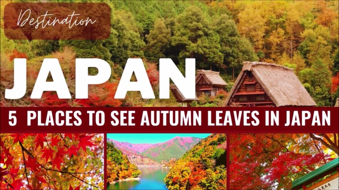 5 Best Places to See Autumn Leaves in Japan – Momijigari 5 Best Places to See Autumn Leaves in Japan - Momijigari