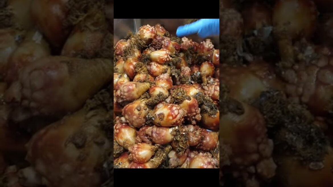 한칼에 추풍낙엽처럼 썰려 나가는 해산물? 달인의 현란한 칼질! #shorts – Amazing skill! Super speed seafood cutting master 한칼에 추풍낙엽처럼 썰려 나가는 해산물? 달인의 현란한 칼질! #shorts - Amazing skill! Super speed seafood cutting master