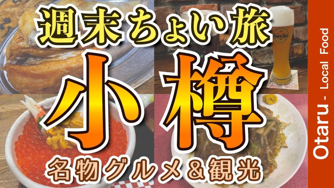 【アラフィフ男のひとり旅｜小樽】絶品グルメ 朝市の海鮮丼・若鶏半身揚げ・小樽ビール飲み比べ・あんかけ焼きそば・地元名物グルメを食す動画【小樽・グルメ・ひとり旅・Otaru・Trip】