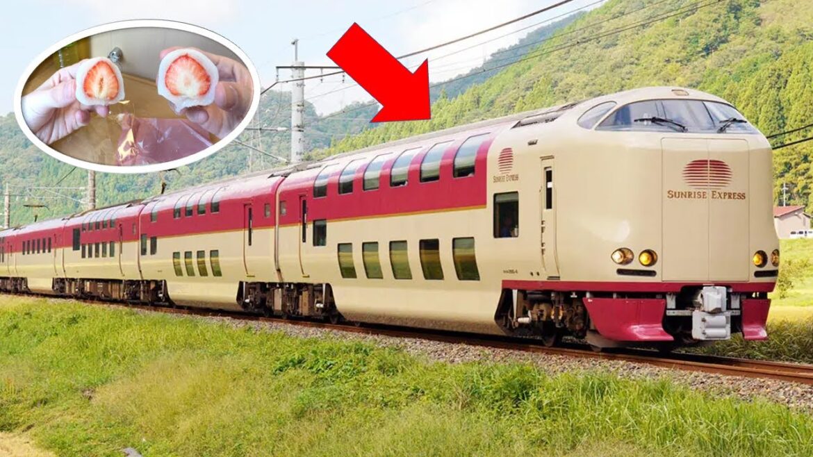 7 Hours Ride on Sleeper Train from Osaka→Tokyo 🚆 🌅