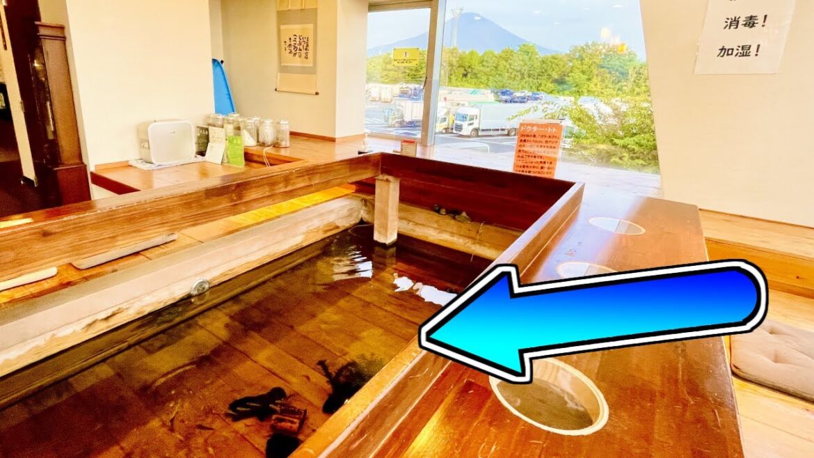 『ドクターフィッシュ』がいるサービスエリアの温泉に泊まった【足柄サービスエリア】