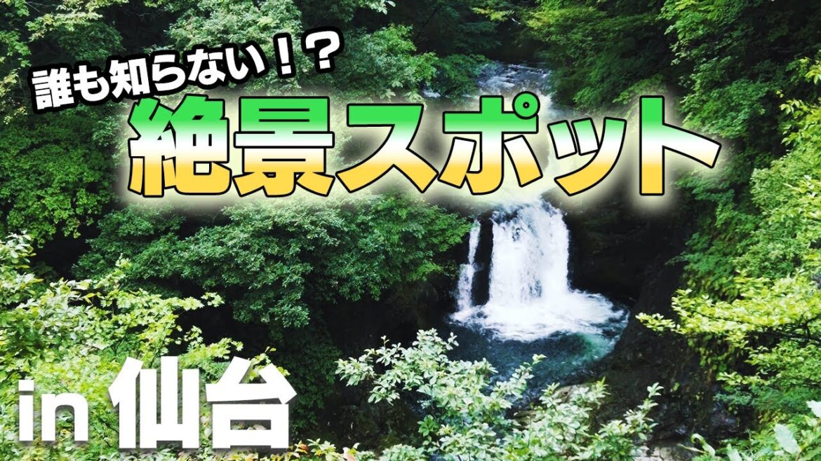 【旅Vlog】誰も知らない仙台の秘境滝で自然を感じてきました。