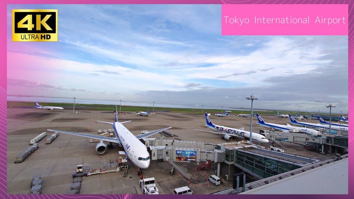【4K】Japan Tokyo International Airport 東京散歩 东京 도쿄 가이드 Walking Tokyo Haneda Airport 羽田空港 airplane HND 【4K】Japan Tokyo International Airport 東京散歩 东京 도쿄 가이드 Walking Tokyo Haneda Airport 羽田空港 airplane HND
