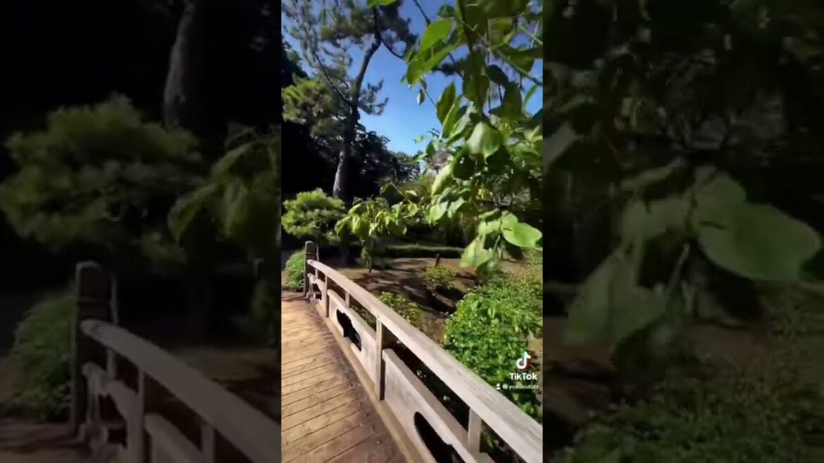 Exploring Sankeien Garden