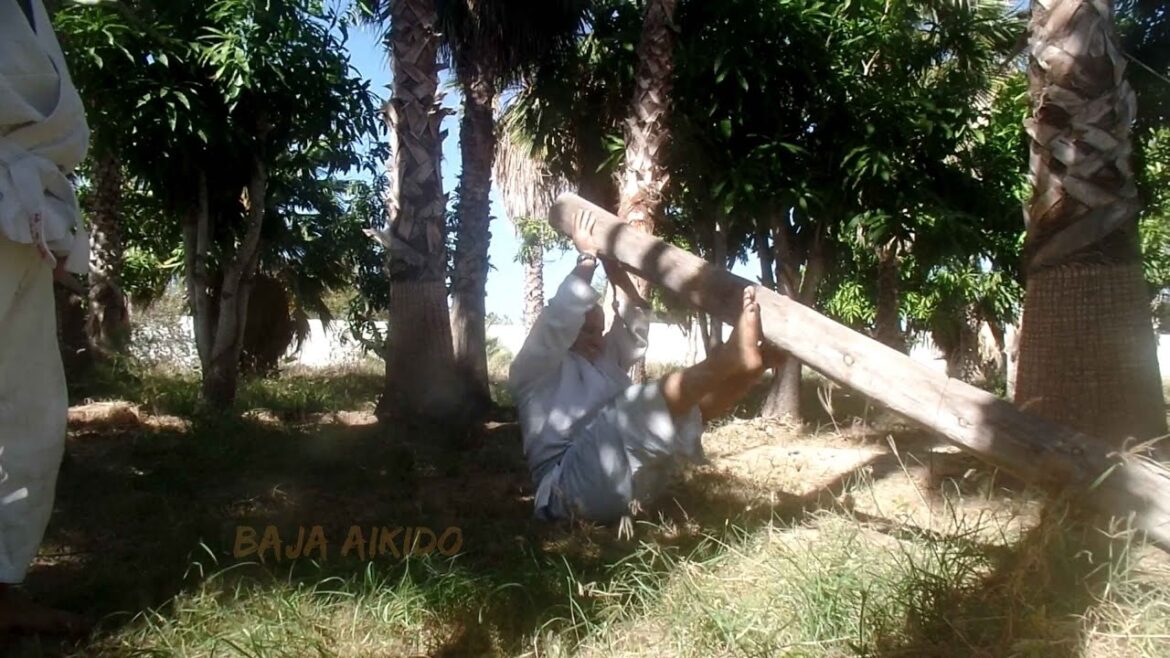 Baja Vacation @bajaAikido Baja Vacation @bajaAikido