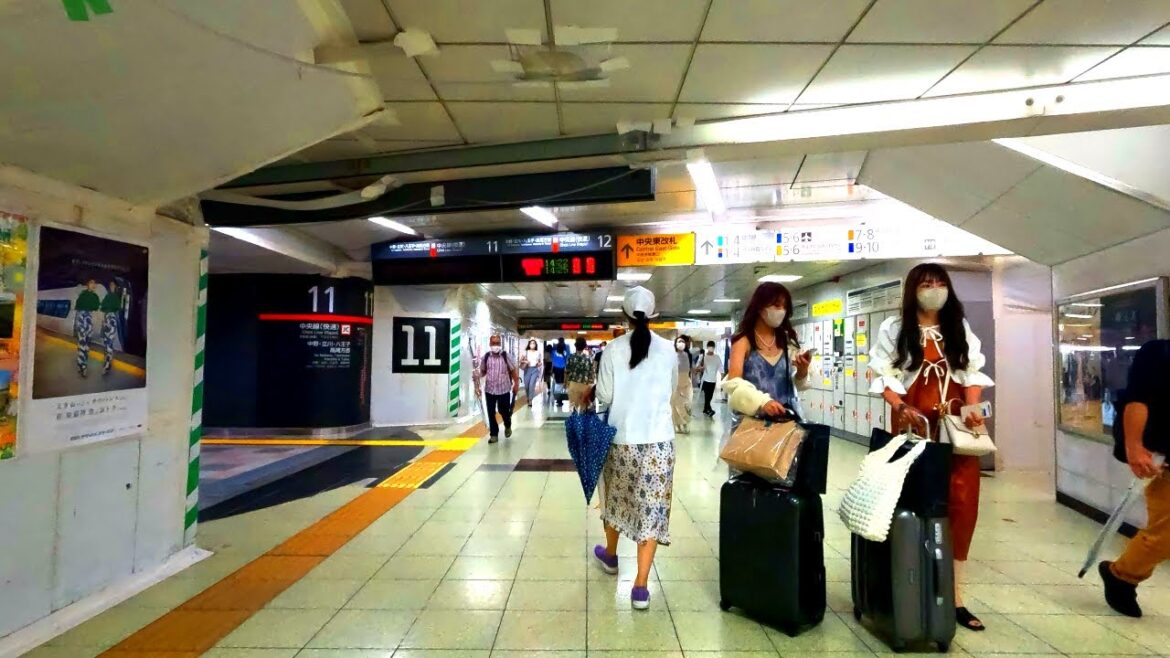 【4K高画質】シルバーウィークの新宿駅構内を散歩 Walk Tokyo Shinjyuku 【4K高画質】シルバーウィークの新宿駅構内を散歩 Walk Tokyo Shinjyuku