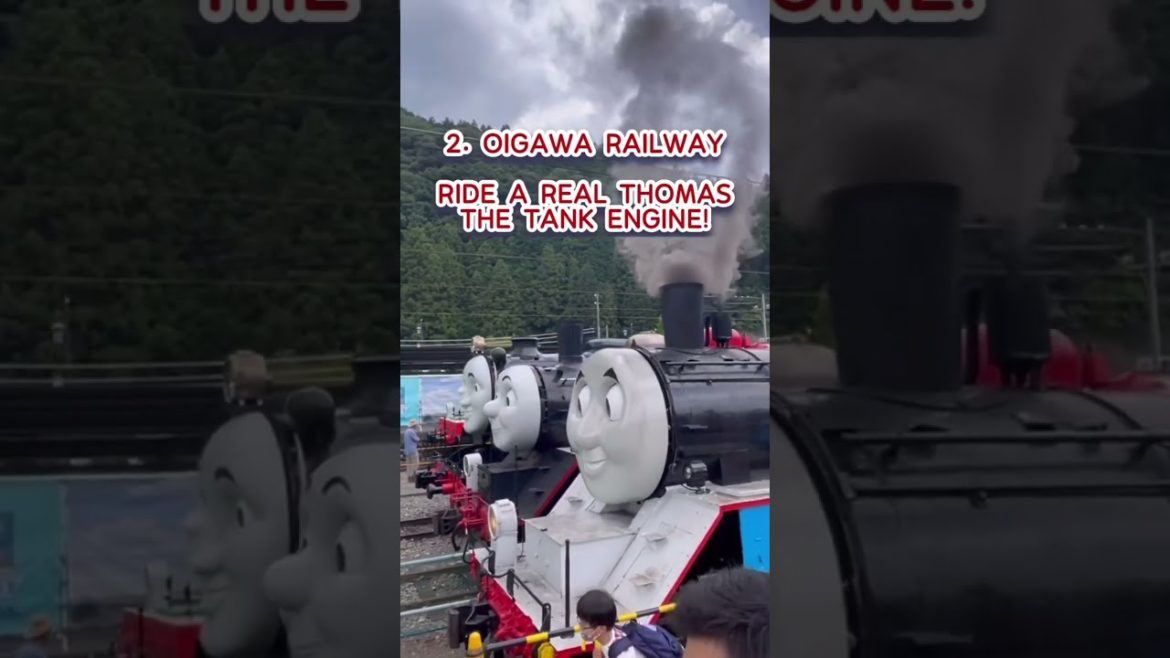 5 Things To Do With Your Kids in Japan, Shizuoka