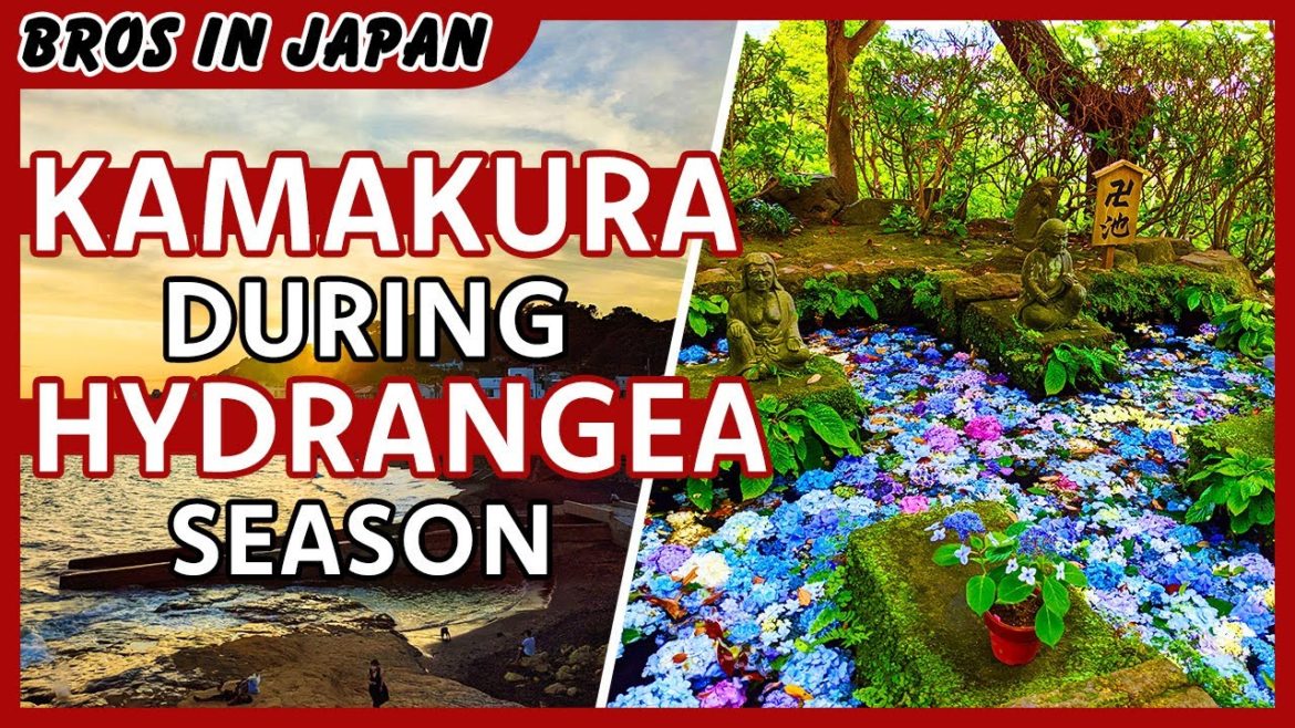 A Day in Kamakura During Hydrangea Season | Best Temples to Visit | BROs IN JAPAN