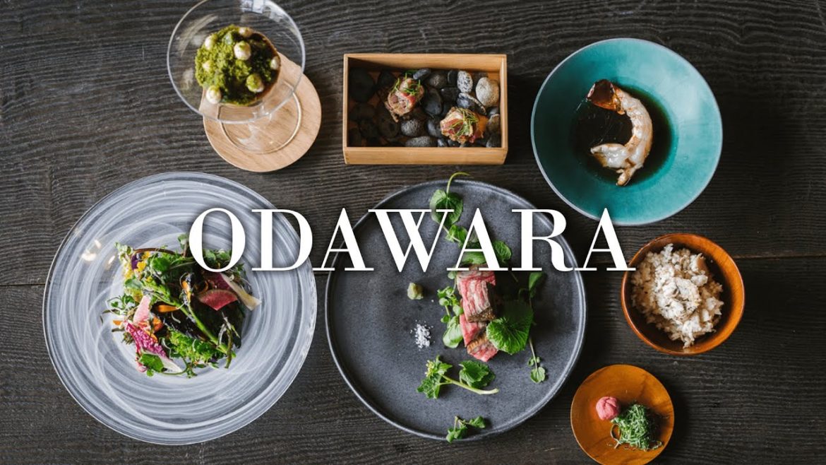 A Meditation & Gastronomy Tour in Odawara