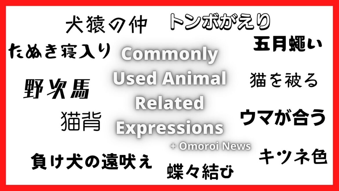 Commonly Used Animal Related Expressions + Omoroi News