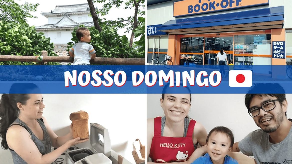 Dia a dia no Japão: passeio em volta do Castelo de Minakuchi, pão em casa e livraria Book Off