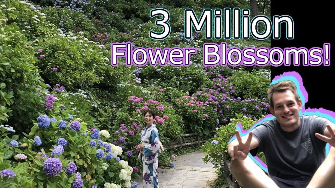 Fantastical Flower Garden in Japan