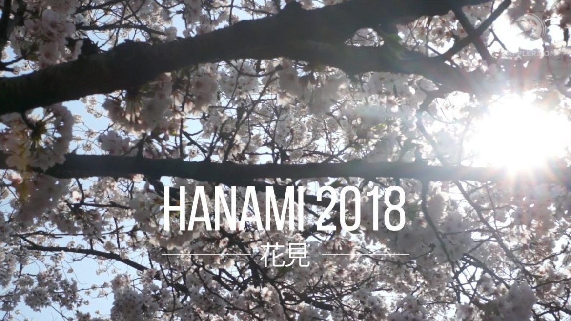 Hanami 2018: Cherry blossom season in Japan Hanami 2018: Cherry blossom season in Japan
