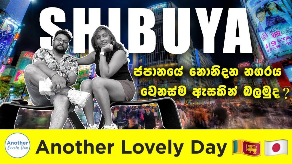 SHIBUYA city VLOG / ශිබුයා නගරයේ ලස්සන  #shibuya #AnotherLovelyDAy #japan