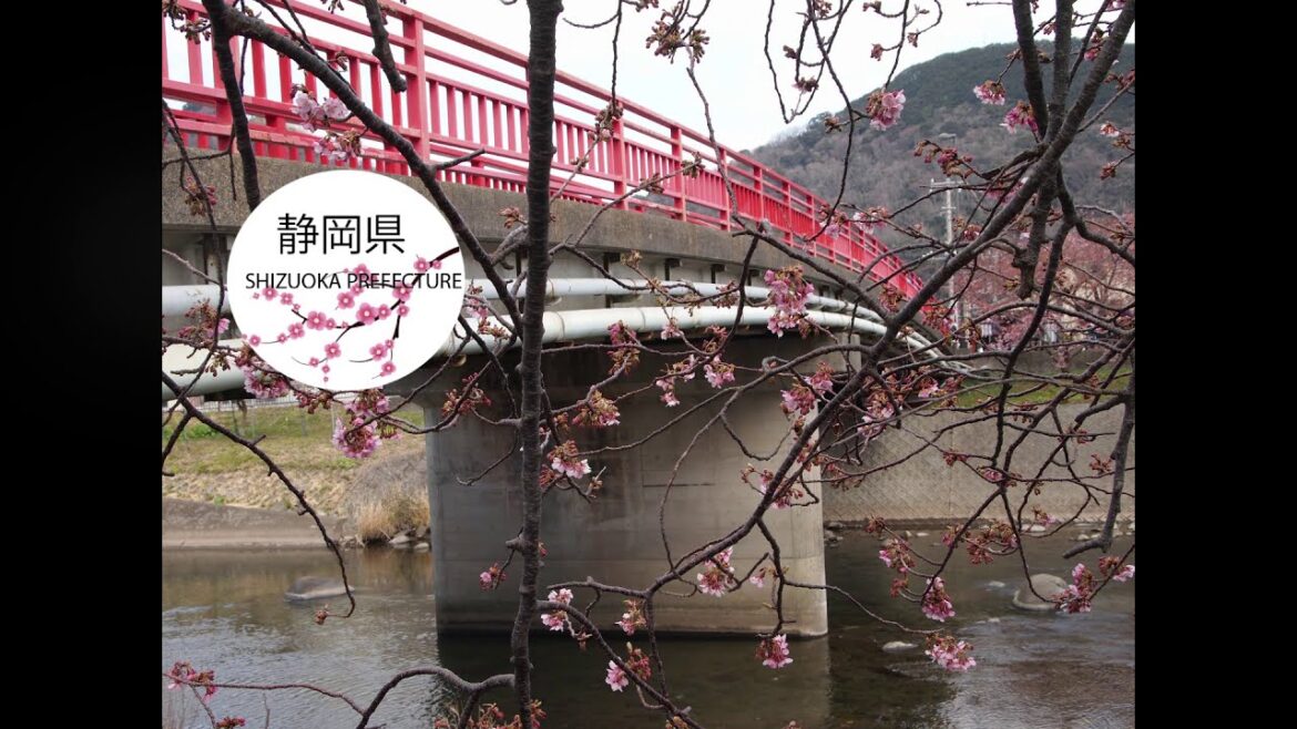 Shizuoka I Early Spring