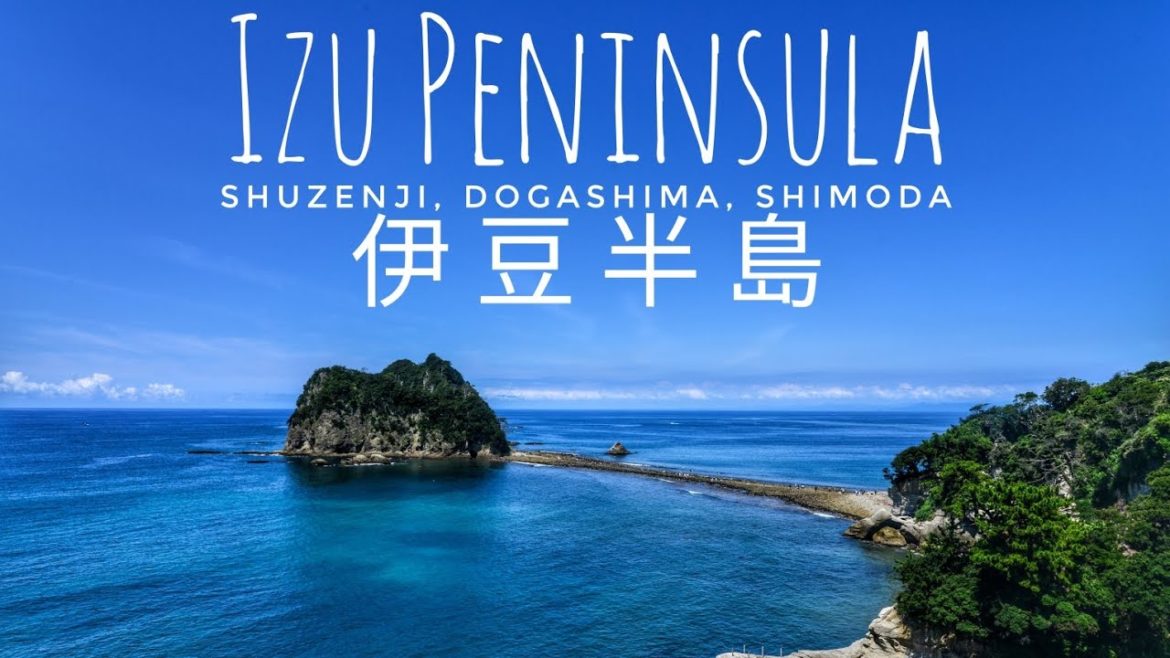 Summer in the Izu Peninsula 伊豆半島