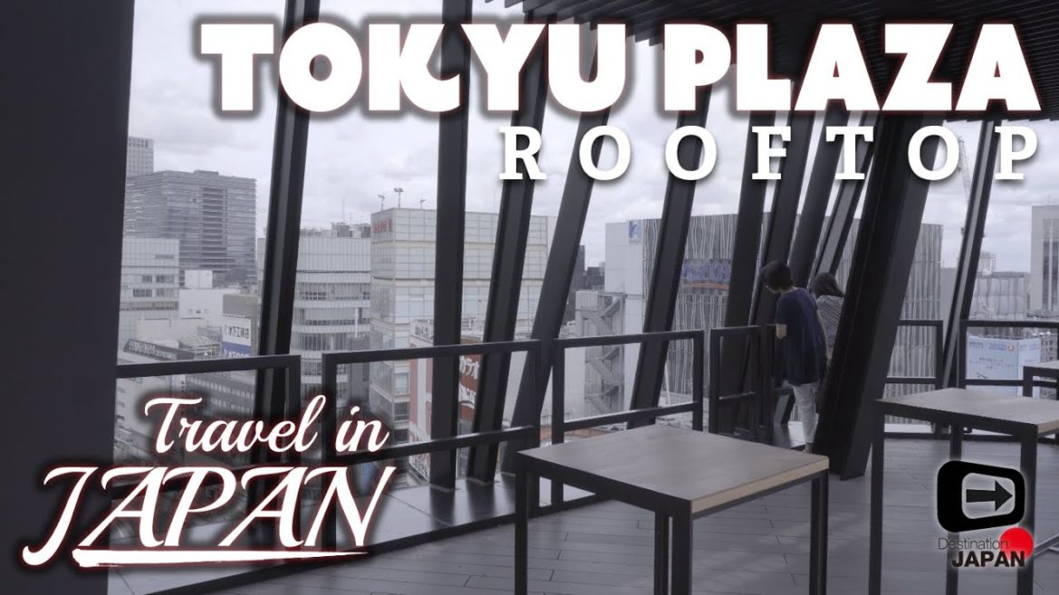 Travel in Japan | Tokyo Ginza | Tokyu plaza rooftop "Kiriko Terrace" | 東急プラザ銀座