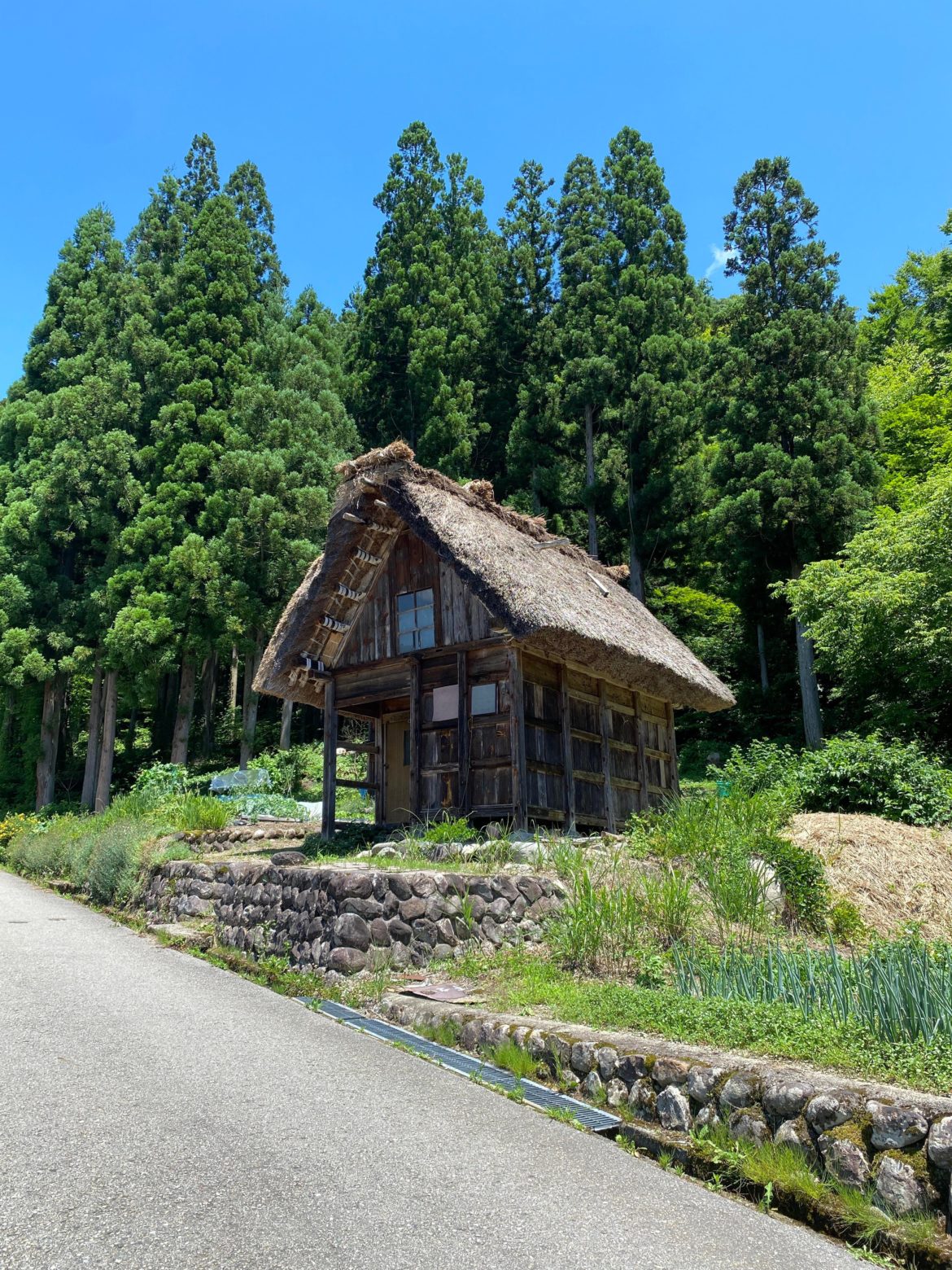Shirakawa-Go, Gifu in Summer