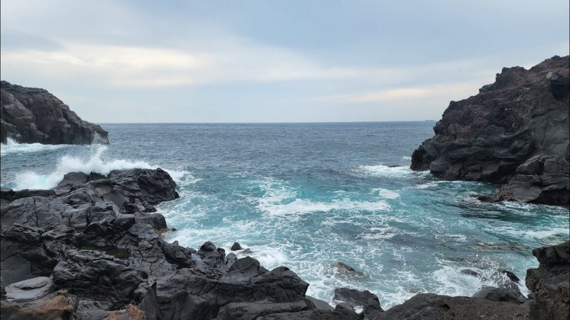 【VR 360°】Travel in 城ヶ崎海岸 - 日本．伊豆