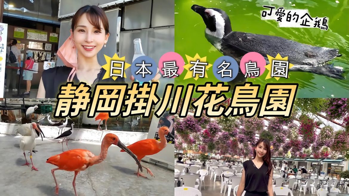 日本靜岡【掛川花鳥園】親子旅遊