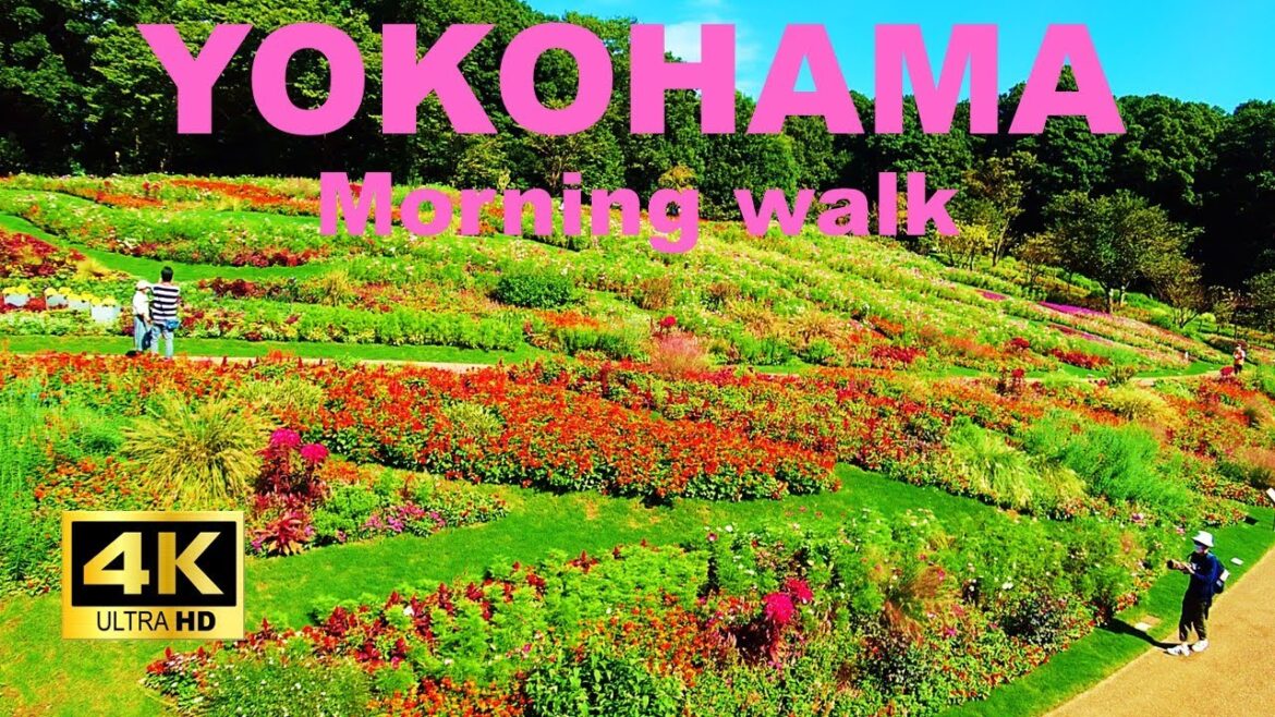 【4K】Yokohama Walking Tour – Satoyama Garden Festa 【4K】Yokohama Walking Tour - Satoyama Garden Festa