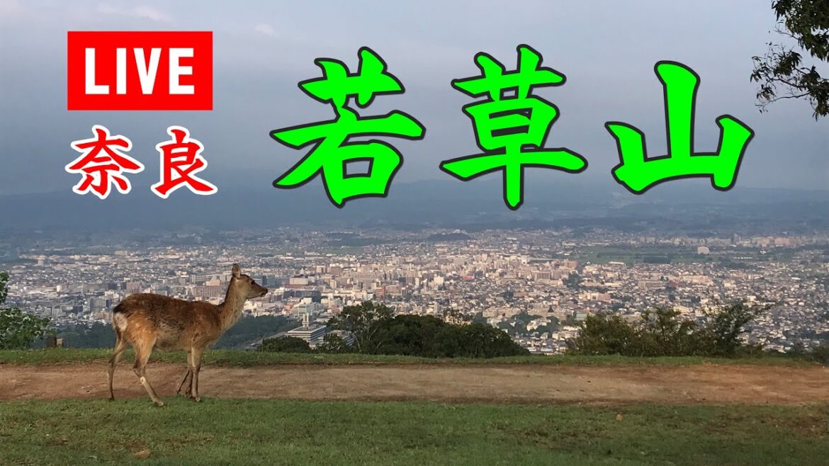 奈良 若草山ライブカメラ/Nara Wakakusa-yama LiveCam 奈良 若草山ライブカメラ/Nara Wakakusa-yama LiveCam