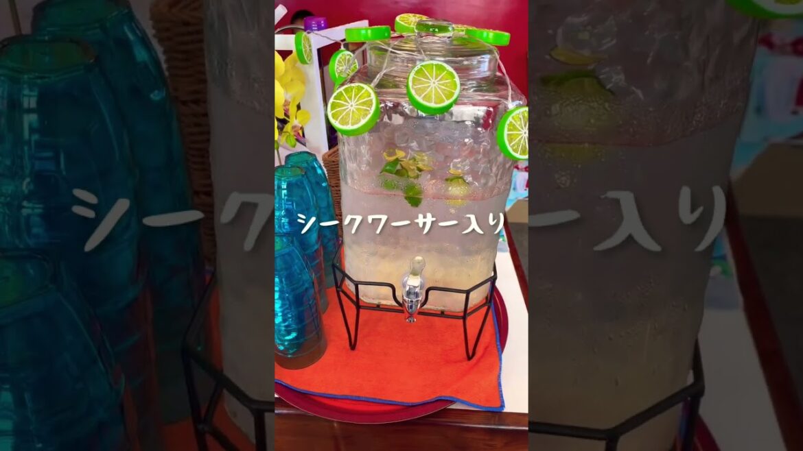 沖縄グルメ。本部町でニューオープンのおしゃれカフェしってる?リコリコCafe&Barをご紹介。#shorts 沖縄グルメ。本部町でニューオープンのおしゃれカフェしってる?リコリコCafe&Barをご紹介。#shorts