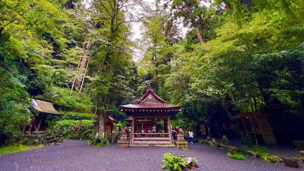 人生激変最強龍神様ライブ！一粒万倍日＋大安 龍神様のパワーを授かる貴船神社奥宮オンライン合同参拝