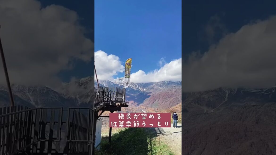 絶対見逃せない！紅葉絶景スポットin長野☆#shorts