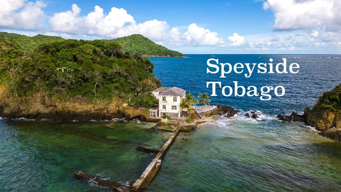 A scenic drive to Speyside, a village in northern Tobago,across from the island of Little Tobago!