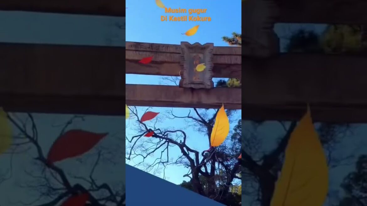 MUSIM GUGUR JEPANG #shortsvideo #kokurakastil#kitakyushu