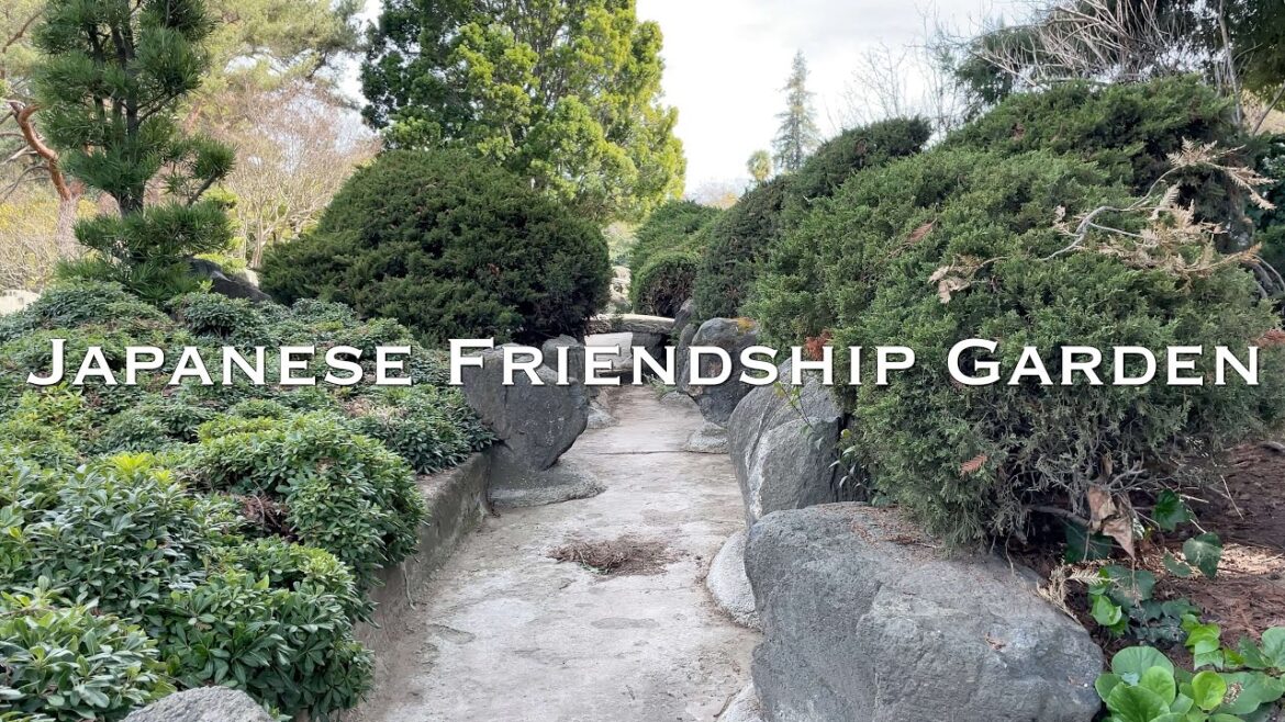Japanese Friendship Garden | San Jose | iPhone 12 Pro