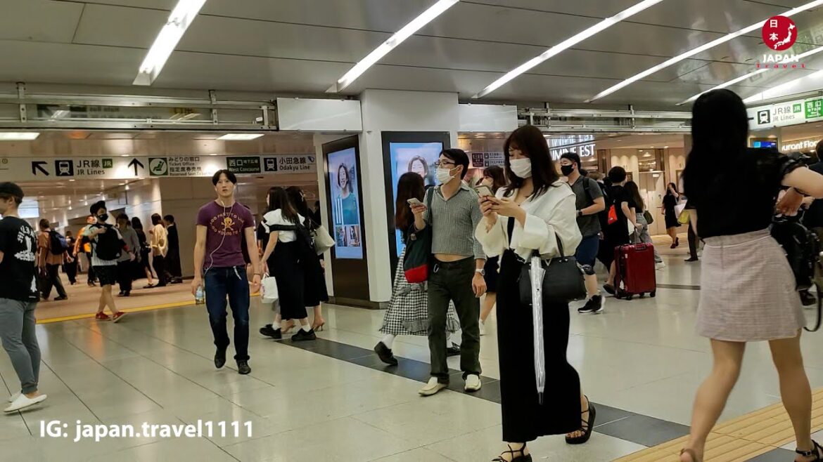 Tokyo Shinjuku Station Insides |  新宿駅 – Japan Walking Tour #japan #walk #travel #4k #trip Tokyo Shinjuku Station Insides |  新宿駅 - Japan Walking Tour #japan #walk #travel #4k #trip