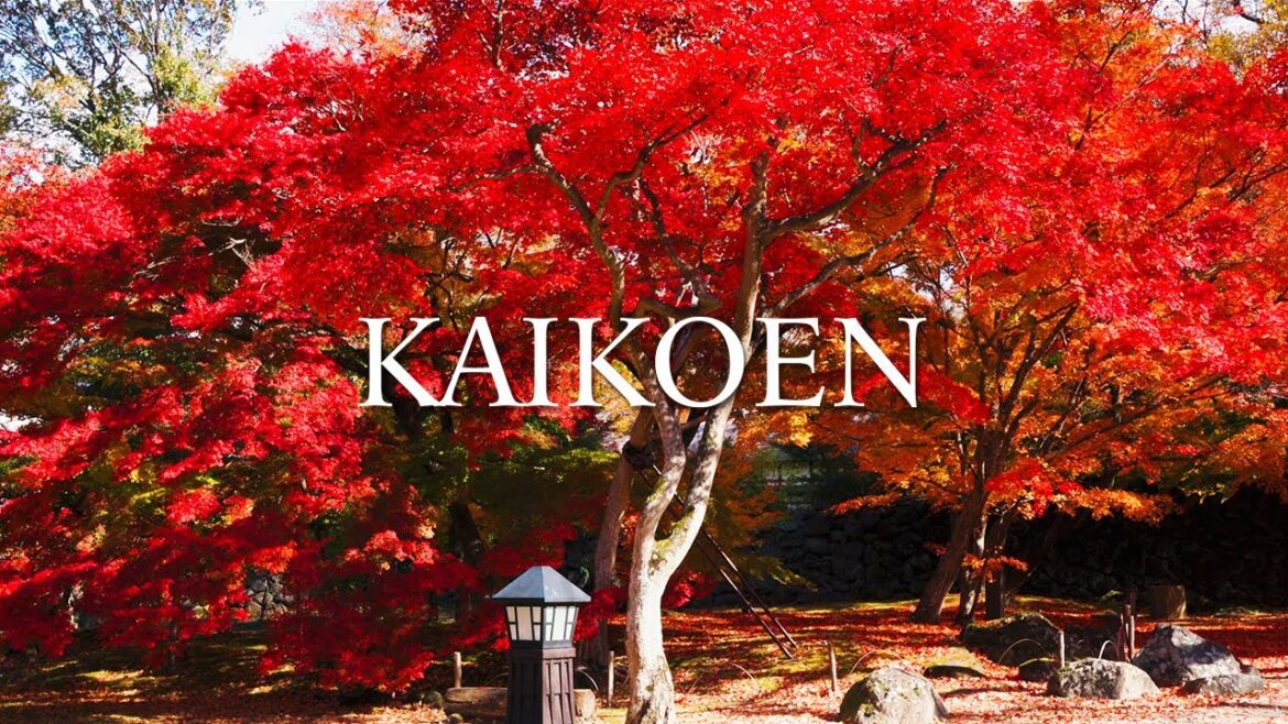 【Japan Walking Tour】MOMIJI OF KAIKOEN / 紅葉の懐古園 【Japan Walking Tour】MOMIJI OF KAIKOEN / 紅葉の懐古園