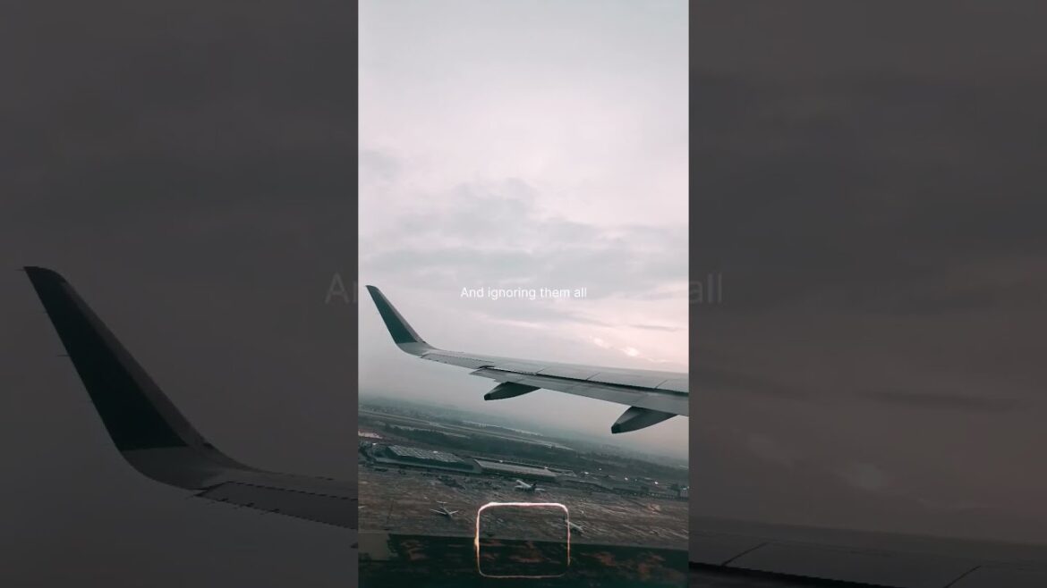 I got 99 problems #airplane #shorts #reels