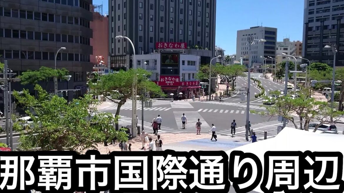 沖縄県那覇市国際通り周辺をちょっとだけ散策 【OKINAWA JAPAN】