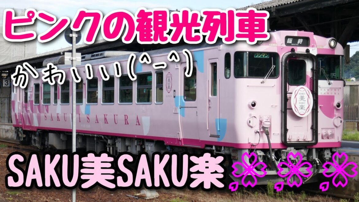 津山線にピンク色の観光列車がやってきた！SAKU美SAKU楽に乗ってきた！