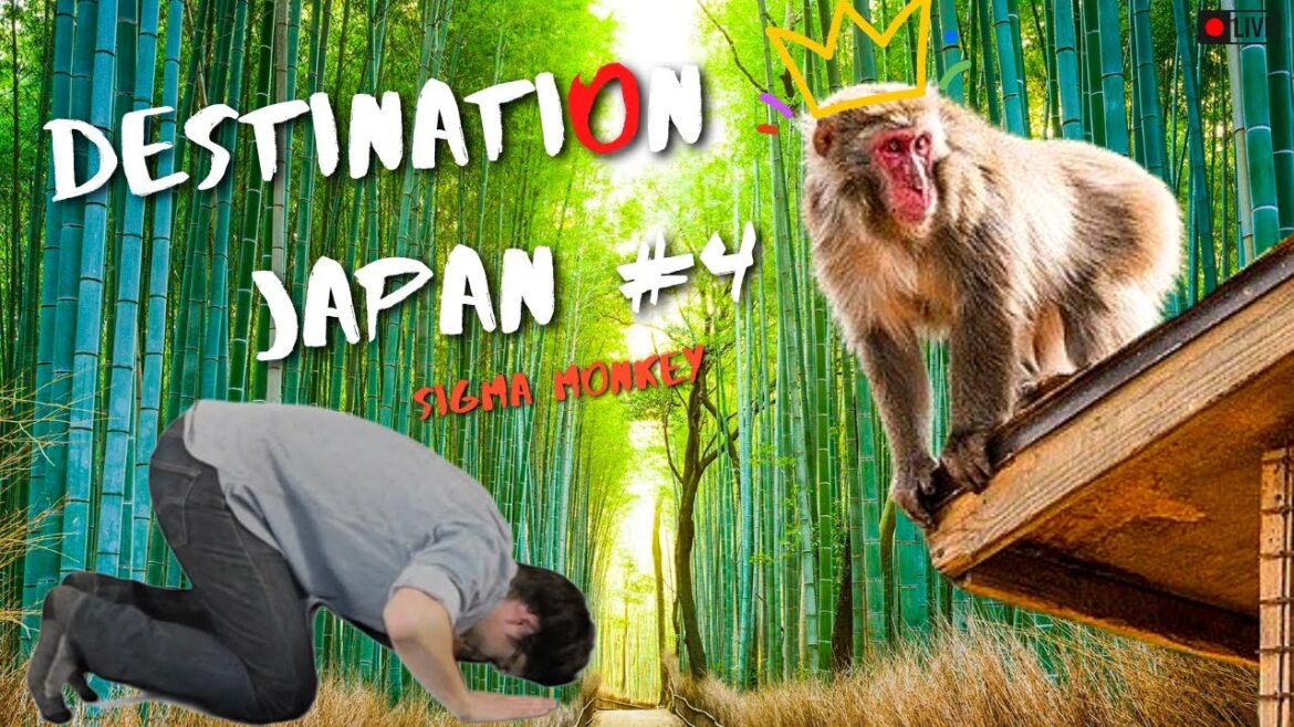 THE SIGMA MONKEY OF ARASHIYAMA AND LEGENDARY BAMBOO FOREST! || Japan Vlog 4