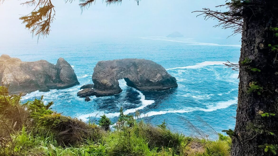 Road Trip! Road Trip!